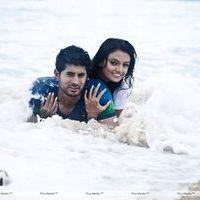 Its My Love Story Movie Hot stills | Picture 110308